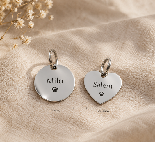 Médaille ronde 30 mm gravée Milo et médaille cœur 27 mm gravée Salem, en acier inoxydable argenté